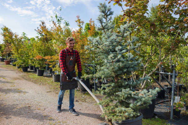  Aust, IN Tree Removal and Landscaping Services Pros